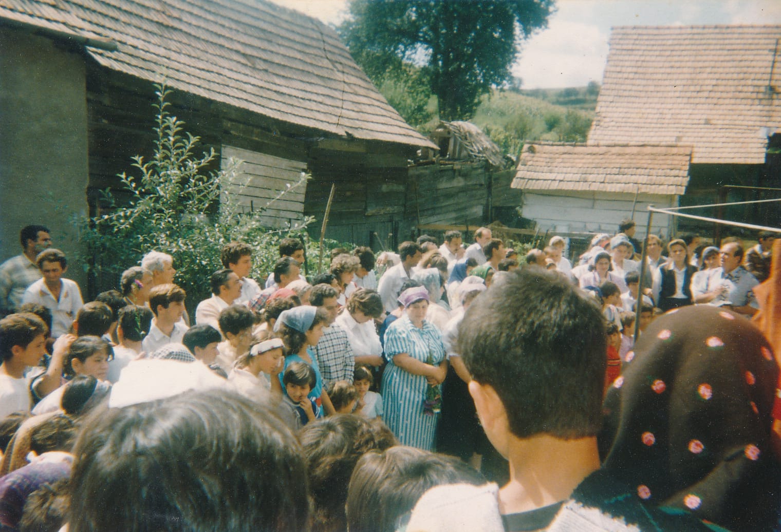 Poza 15