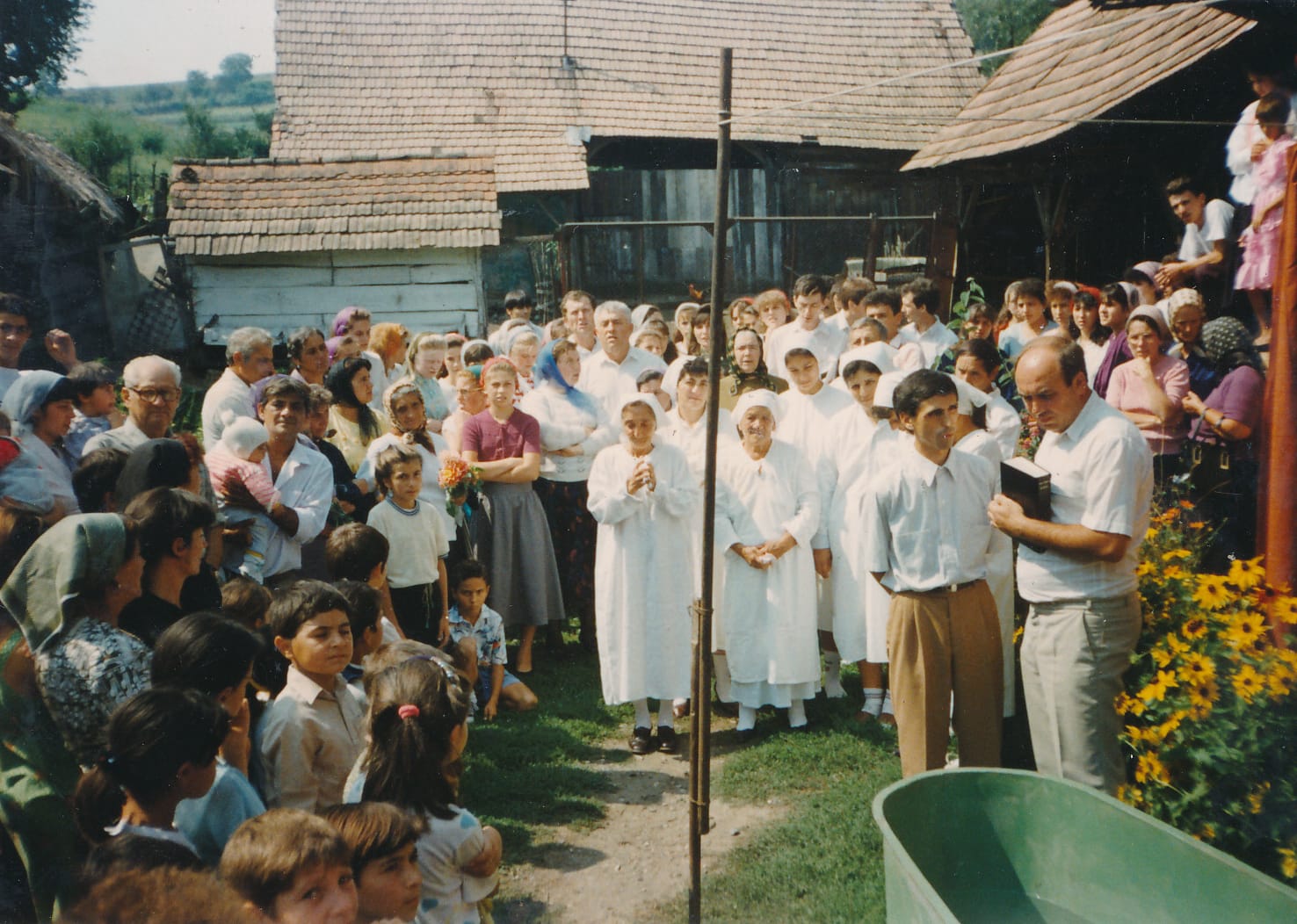 Poza 18